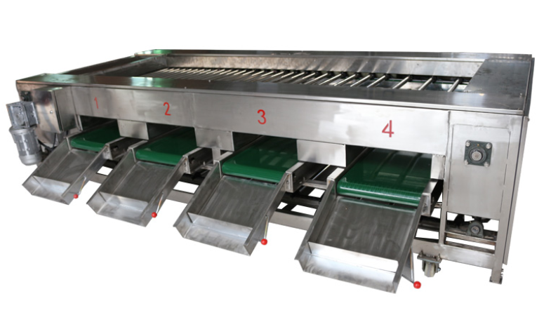 Potato grading machine longan sorting machine mango sorting machine for farm