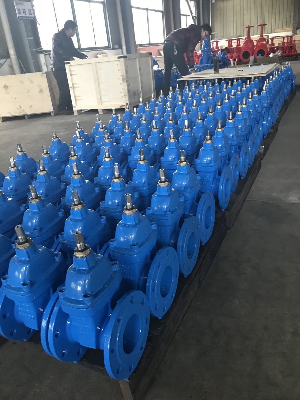 Resilient Soft Seat F4 Gate Valve DIN3352 F4 Cast Iron Non Rising Stem