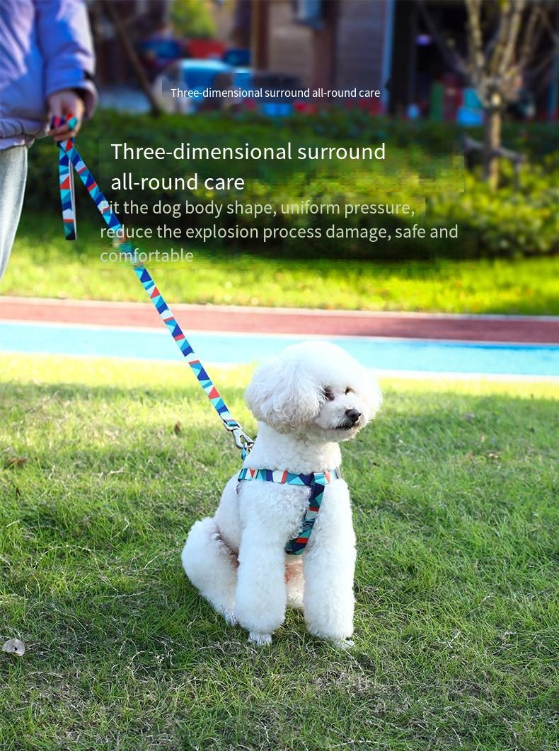 Pet Printed Harness Medium And Large Dogs Anti Breakaway Vest Style Leash