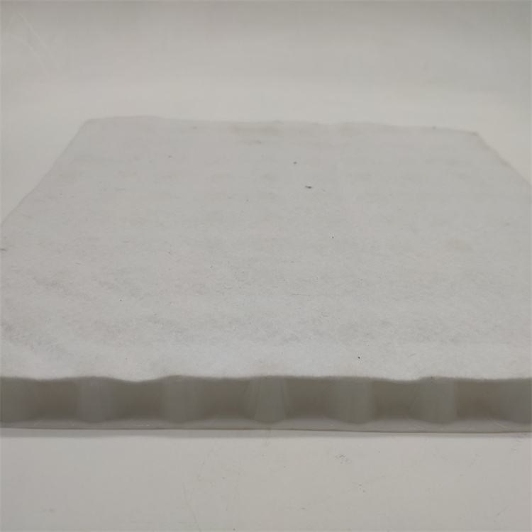 Plastic Composite Geonet for Slope Protection in Landfill Roadbed Drainage Solution