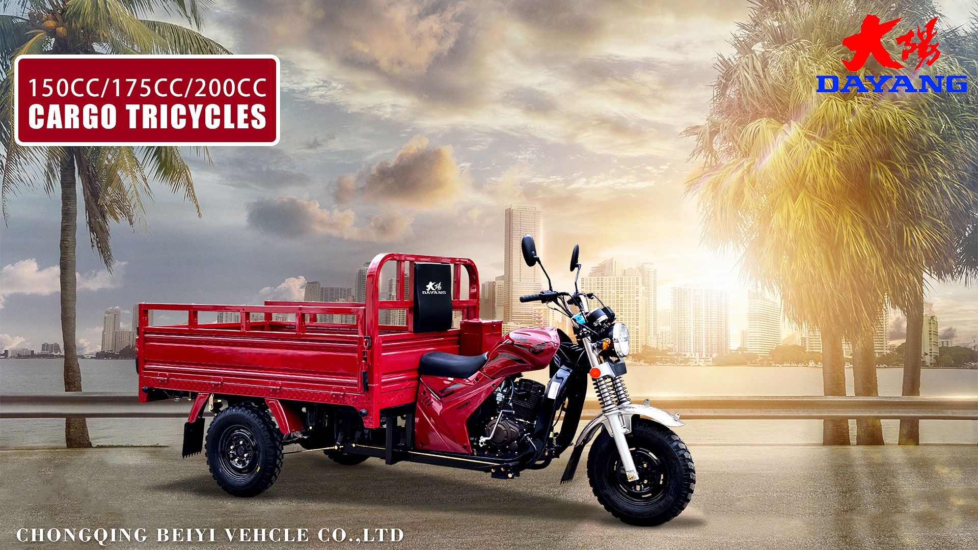 DAYANG Prince 150CC/175CC/200CC Cargo Tricycle for Africa and Southeast Asia Market