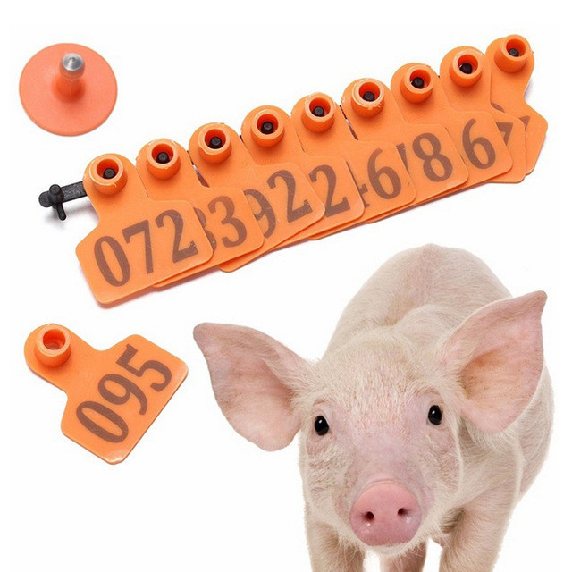 Small Two Pieces Pig Ear Tags For Female And Male Diary Farm Pig Management