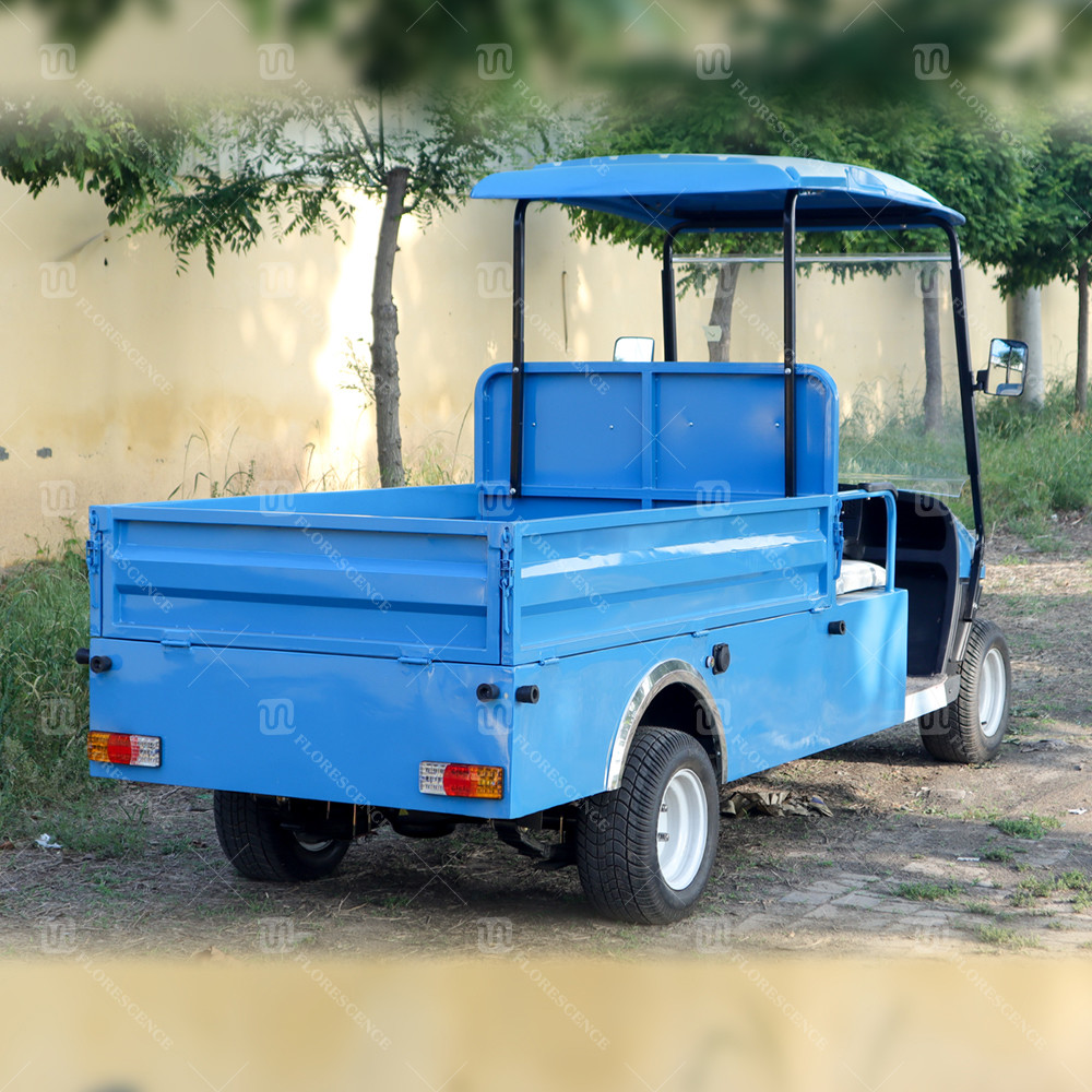2 Seater Electric Carryall Golf Cart Heavy Duty ODM