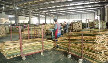 Shenzhen Magic Bamboo Industrial Co., Ltd.