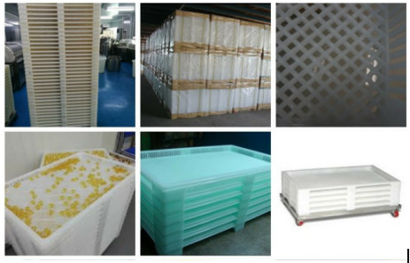 Chewable Soft Gel Capsule Manufacturing Equipment For Food Health Care Medicine Products