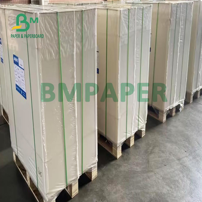 215gsm 235gsm Food Grade One Side Coated Container Board for Medicine Box