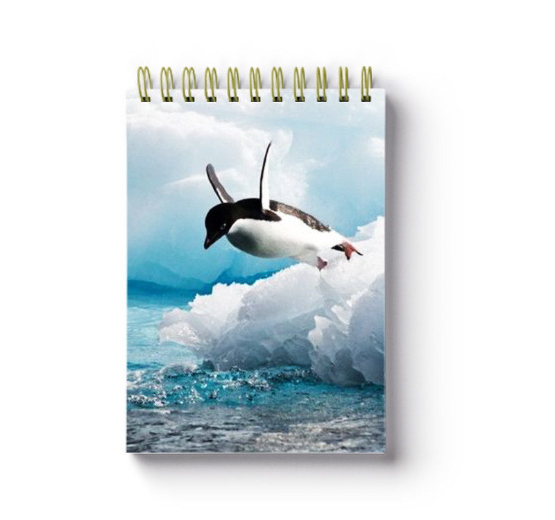 Animal Spiral Bound Notebook School Stationery Set 3D Printing