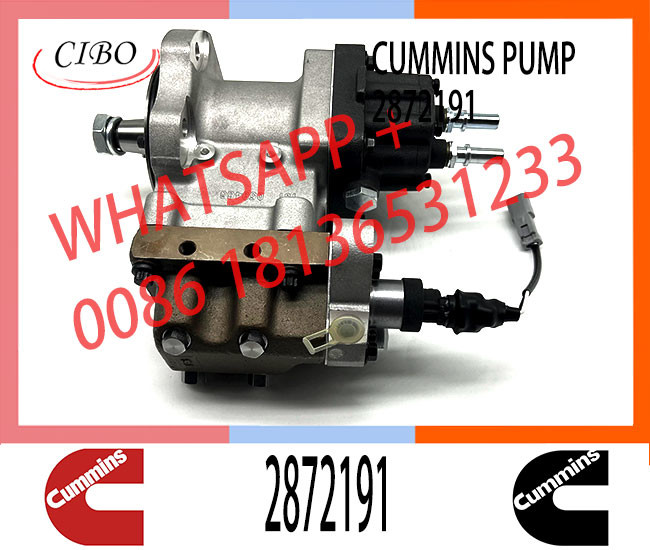 Diesel Engine Parts Fuel Injection PT Pump 2872930 4384497 2872191 For Cummins QSZ13