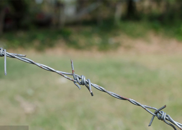 Use Of Prison Walls Anti Climb Single Strand PVC Coated Iron Barbed Wire