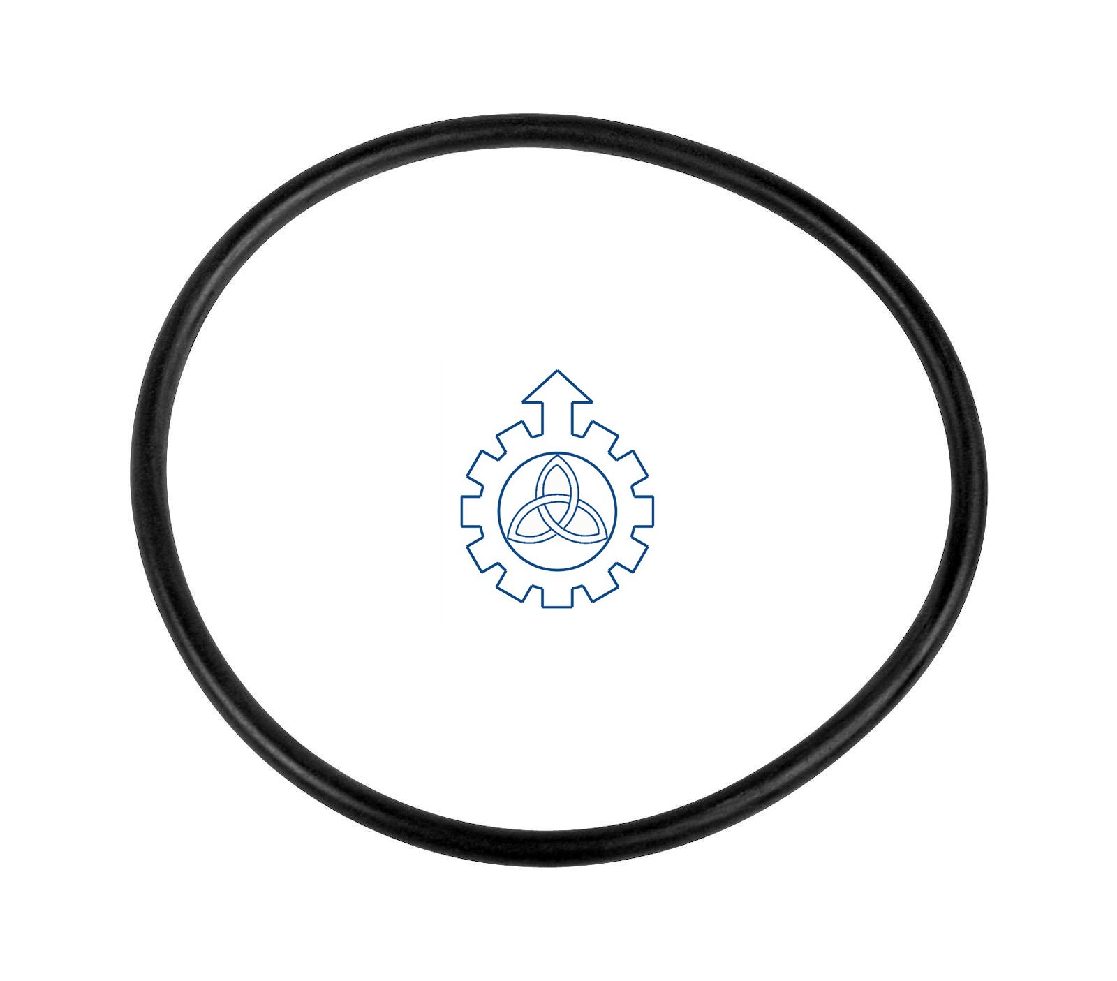 O-ring 42534492