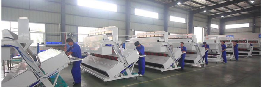 Charge Coupled Device RGB Color Sorter , 11kw Coffee Bean Color Sorting Machine