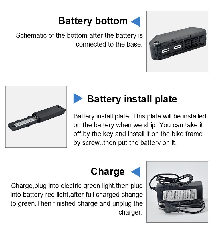 Hot Sale Hailong 36V Lithium Battery Pack for Electric Bike with Charger