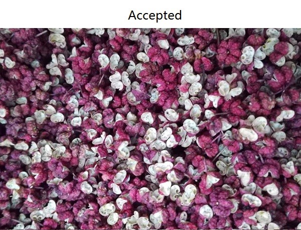 3.0kw 2226mm green Spice Colour Sorting machine