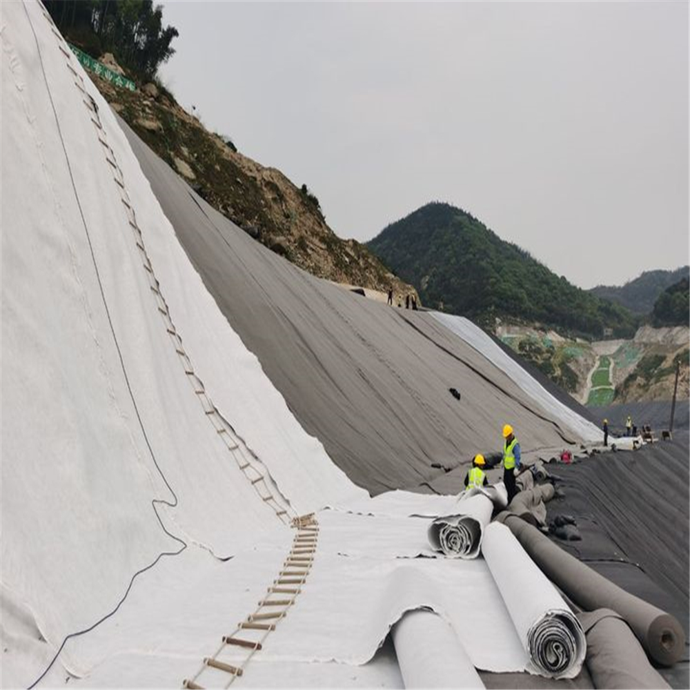 Drainage Engineering Solution 3D Geocomposite Drainage Mat with 5mm-12mm Geonet Core