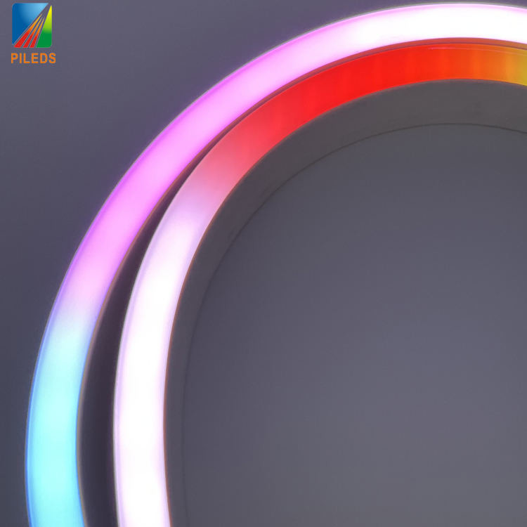 DMX512 UCS512 Neon Lights LED Light Strips with 3000K 6000K Color Temperature