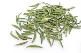 High quality early spring organic bamboo zhuyeqing green tea