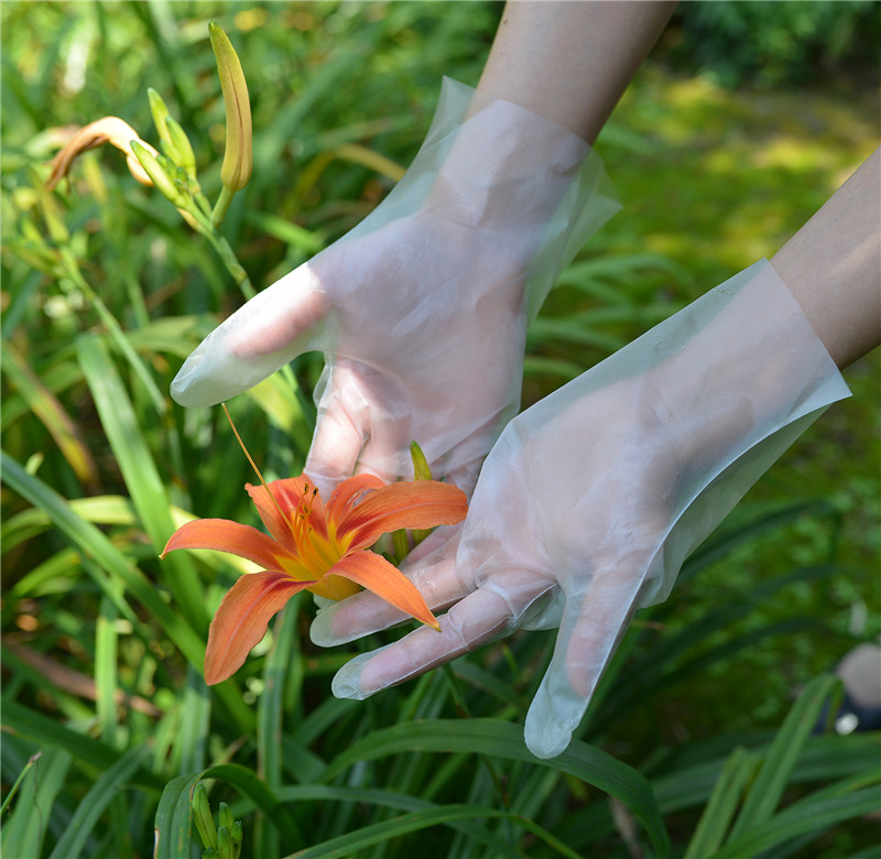 Waterproof Gardening Disposable TPE Gloves For Cleaning