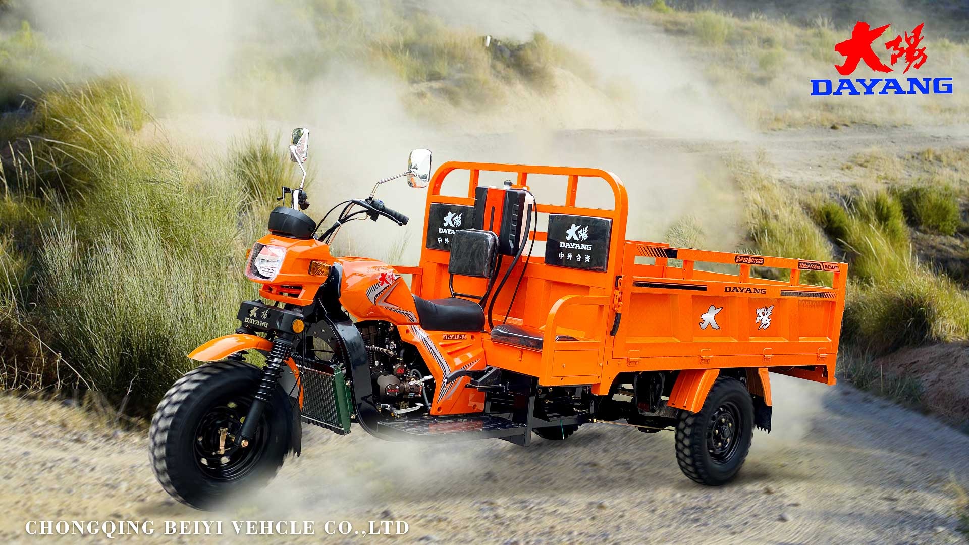 Orange 800W Motorized Tricycles for Heavy Duty Three Wheels Motorcycles from Dayang