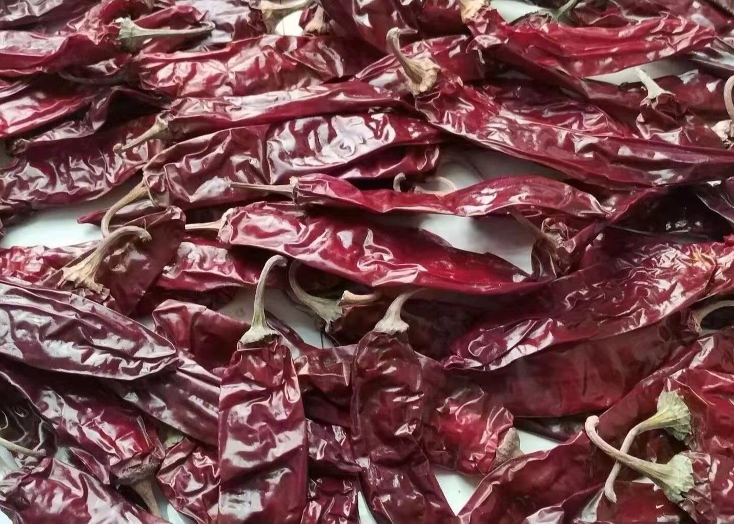 Guajillo Sun Dried Chilli Red Guajillo Peppers Sweet Flavor KOSHER