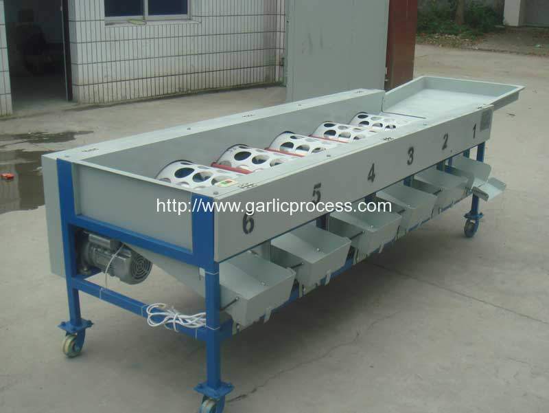 automatic-garlic-sorting-machine-garlic-grader-machine-for-sale