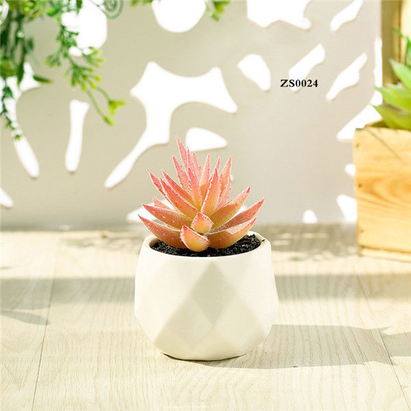 Mini Succulent Artificial Potted Plants Strange Shape Green Platsic Material