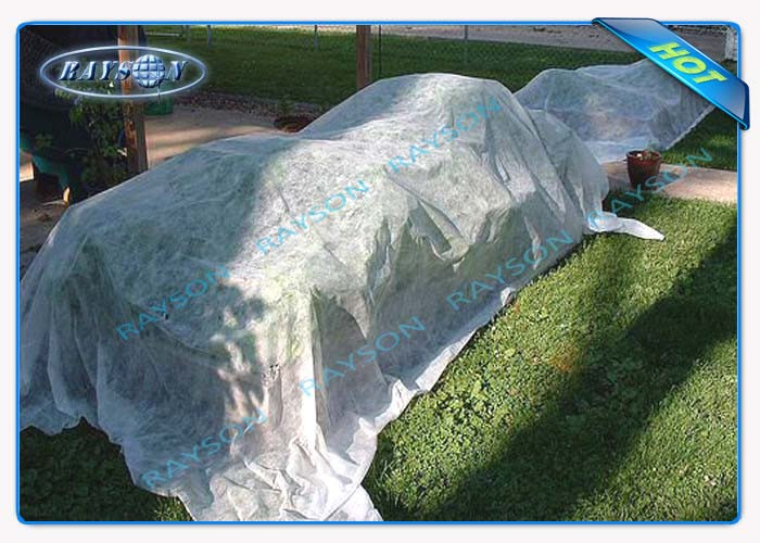 Soft Feeling 100 % PP Spunbond Hydrophilic Non Woven Fabric For Medical Non Woven Fabric