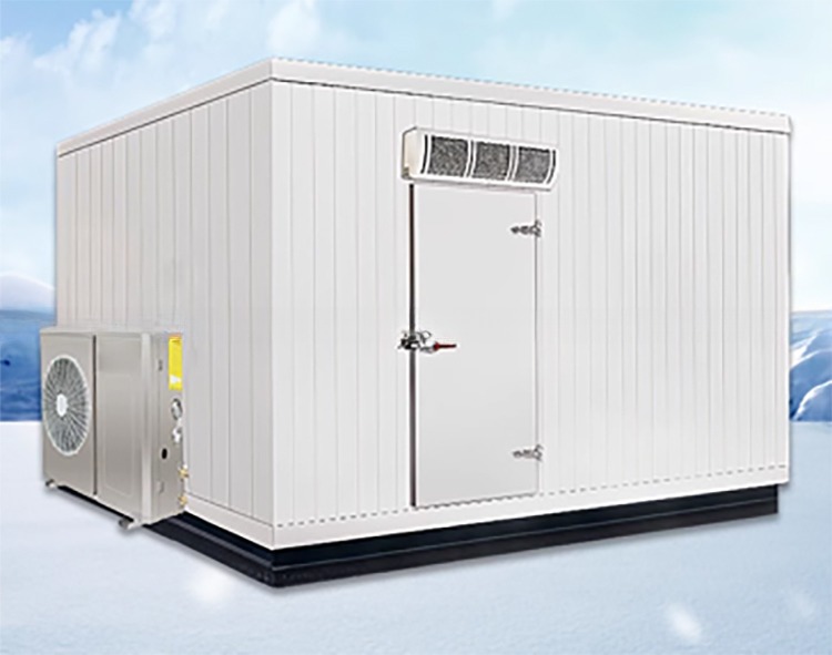 Stainless Steel Inside Wall 40ft x 20ft Dual Temperature Chiller and Freezer Container Cold Room for Storage Reefer Container