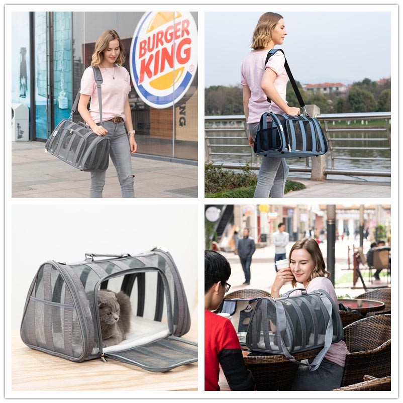 Outdoor Travel Free Folding Soft Sided Breathable Pet Bag For Small Middle Size Dog Friendly