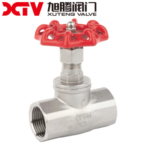 1500wog NPT End Globe Valve SS304 Globe Valve for Pump System