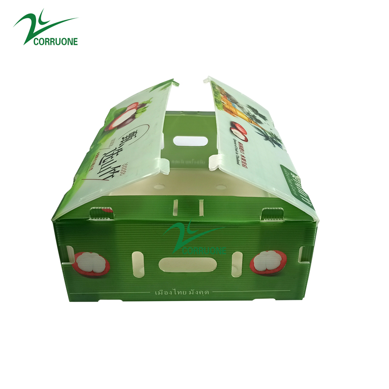 Corn Corflute Box Vegetable Corrugated Boxes Recyclable Custom Size