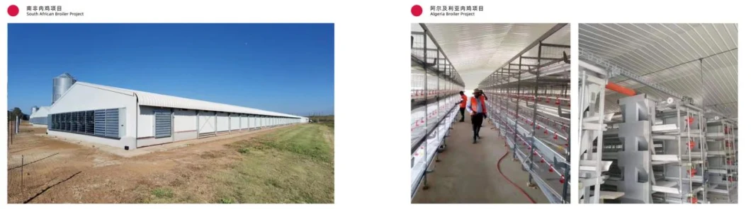 High Quality Broiler Chicken Cage Equipment
