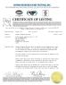ARROW Home Group Co., Ltd Certifications