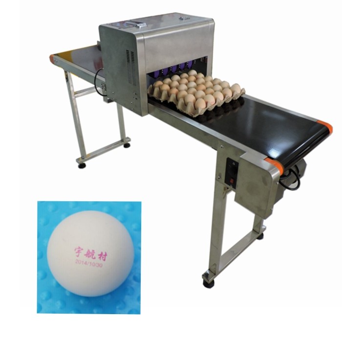 Easy To Maintain Egg Continuous Inkjet Printer For Expiration / Expiry Date