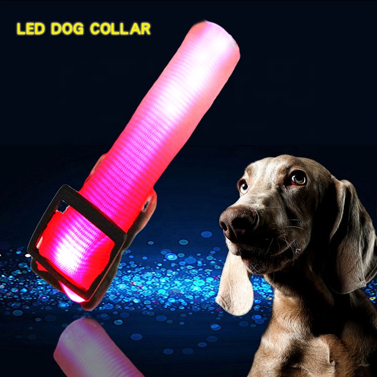 C906 New Pet Product Custom Led Luminous Usb Rechargeable Dog Collar Led