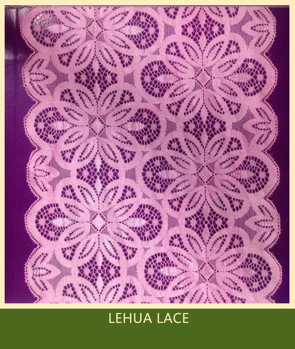 Hot Selling and nice quality Nylon Spandex Stretchy Brazil Lace from China