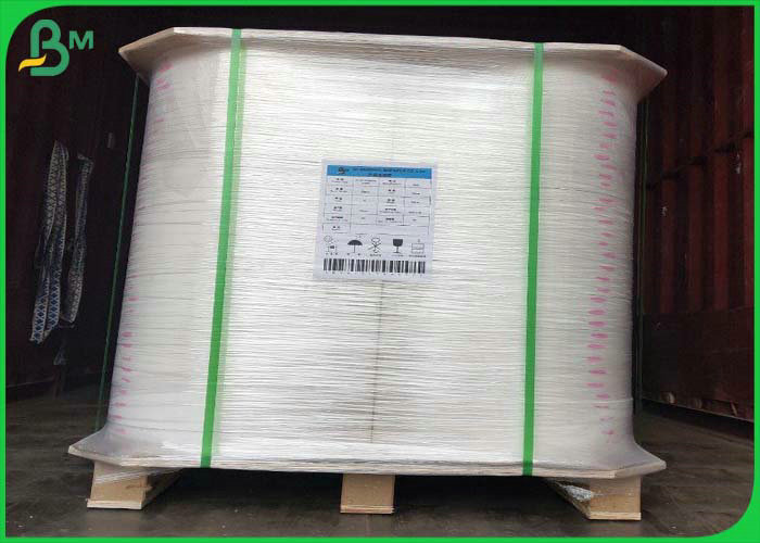 15g + 235g +15g Double Side PE Coated Snow Cone Cup Paper 500mm Roll for Paper Cup