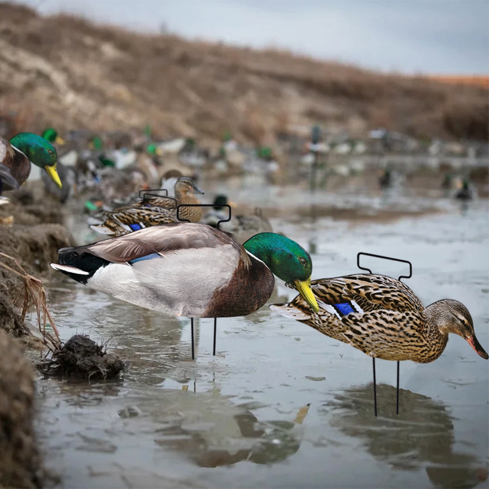 Custom PP Mallard Silhouette Decoys For Hunting Waterproof Anti Reflective Multiple Style