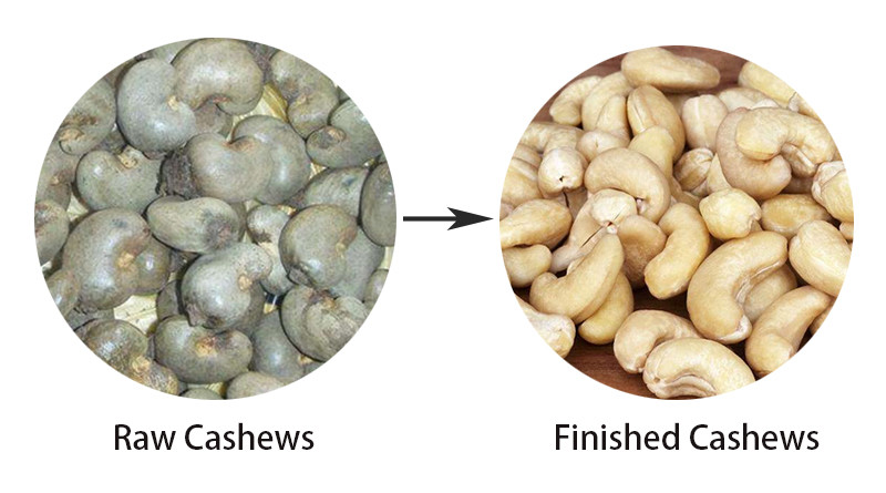 Fully Automatic Cashew Nuts Processing Machine 400kg Hour Food Factory