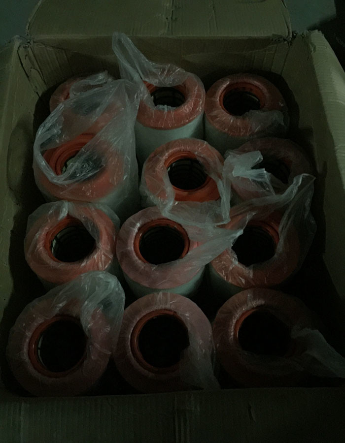 High Performance Truck Spare Parts Air Filters Standard Size OEM Service
