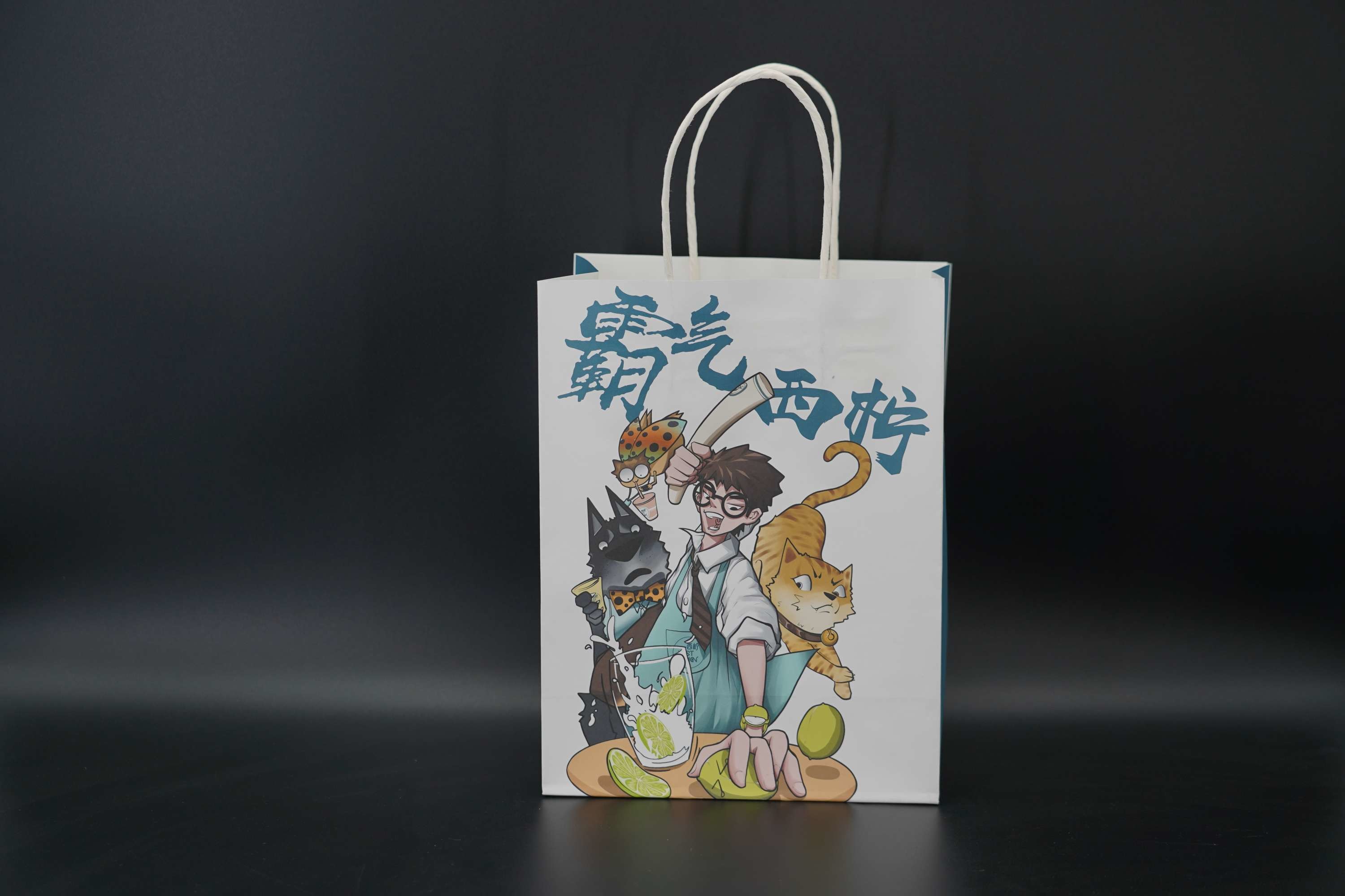 Lightweight Printed Twisted Handle Paper Bags Juice Takeaway Paper Bags