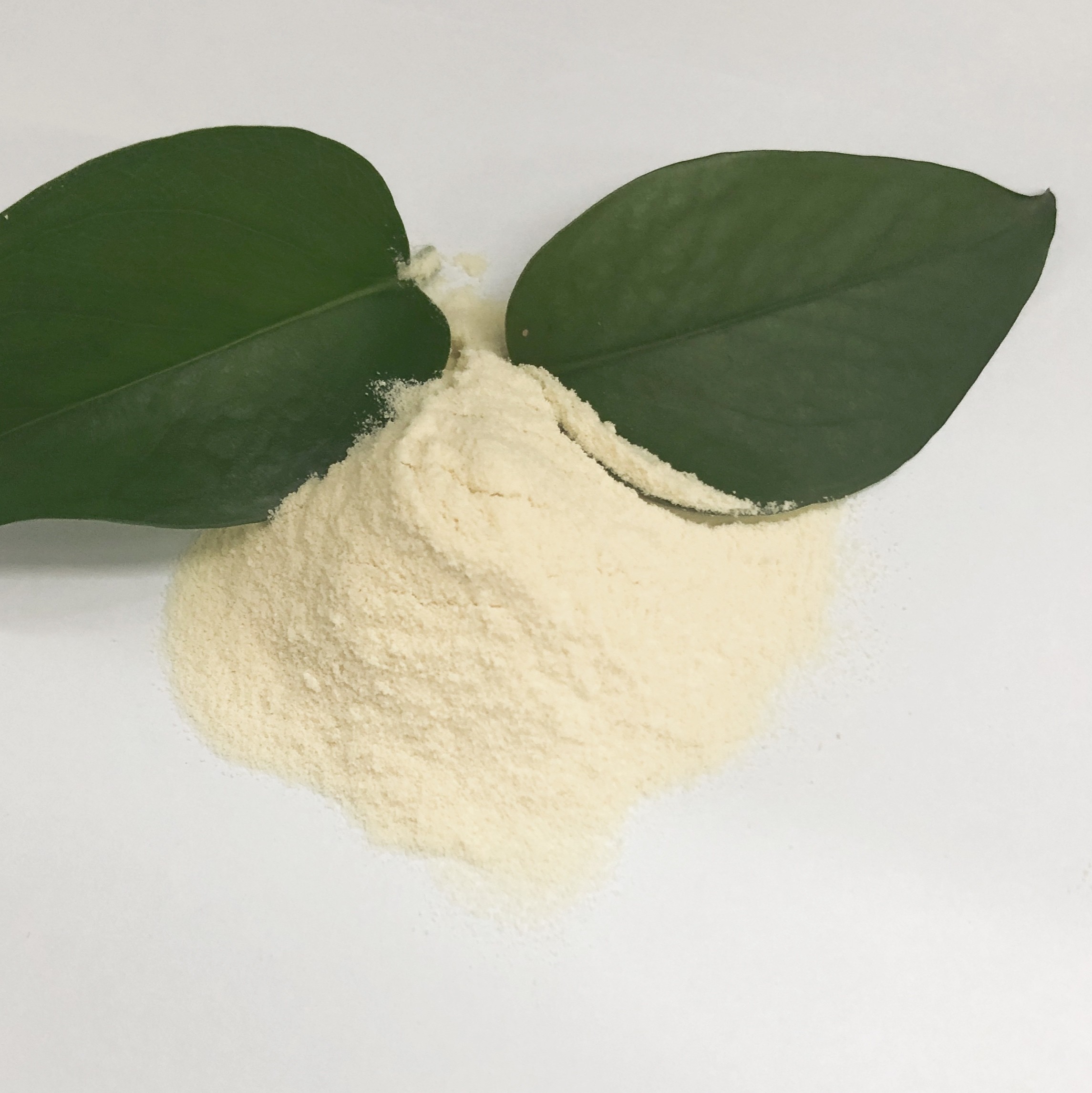 100% Water Soluble Trace Elements Amino Acid Nitrogen Fertilizer 25% Min