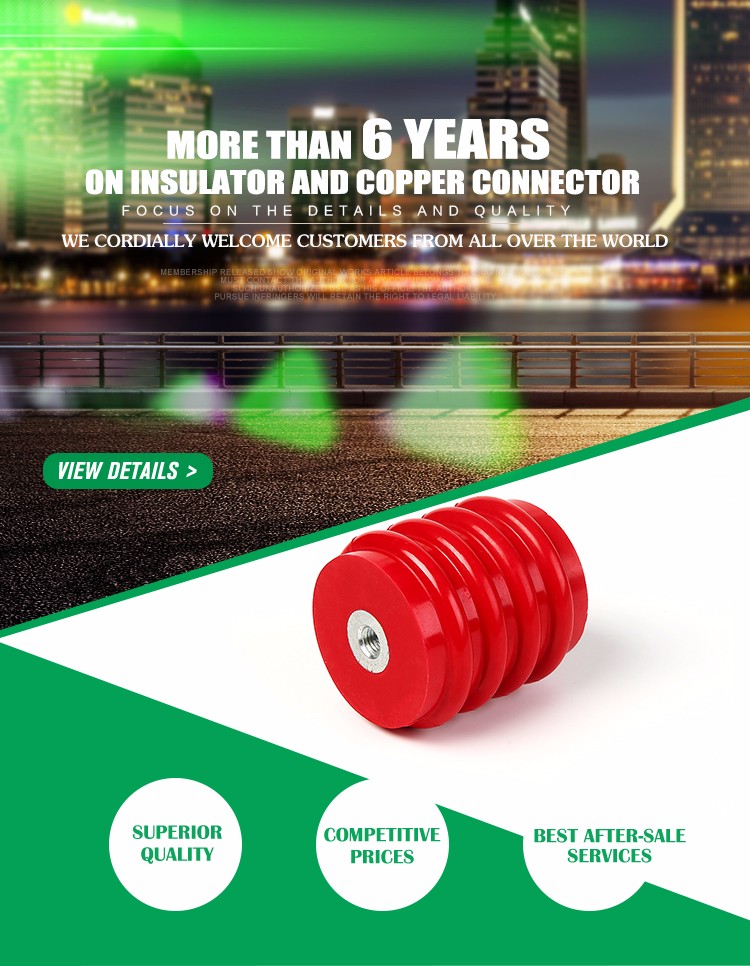 China Supplier DW80X80 high voltage DMC/BMC bus bar insulator support