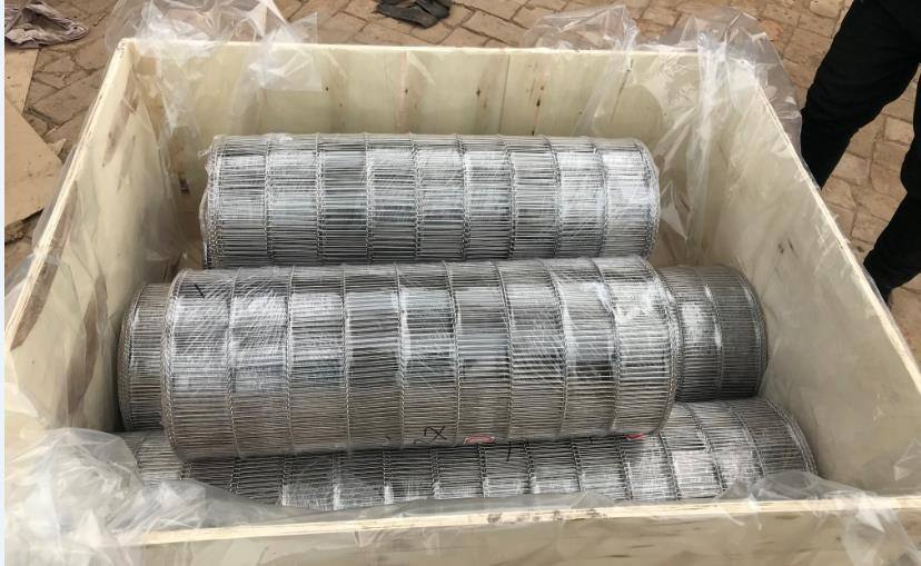 SUS316L Stainless Steel Conveyable Conveyor Belt Fabrication Mesh Wire