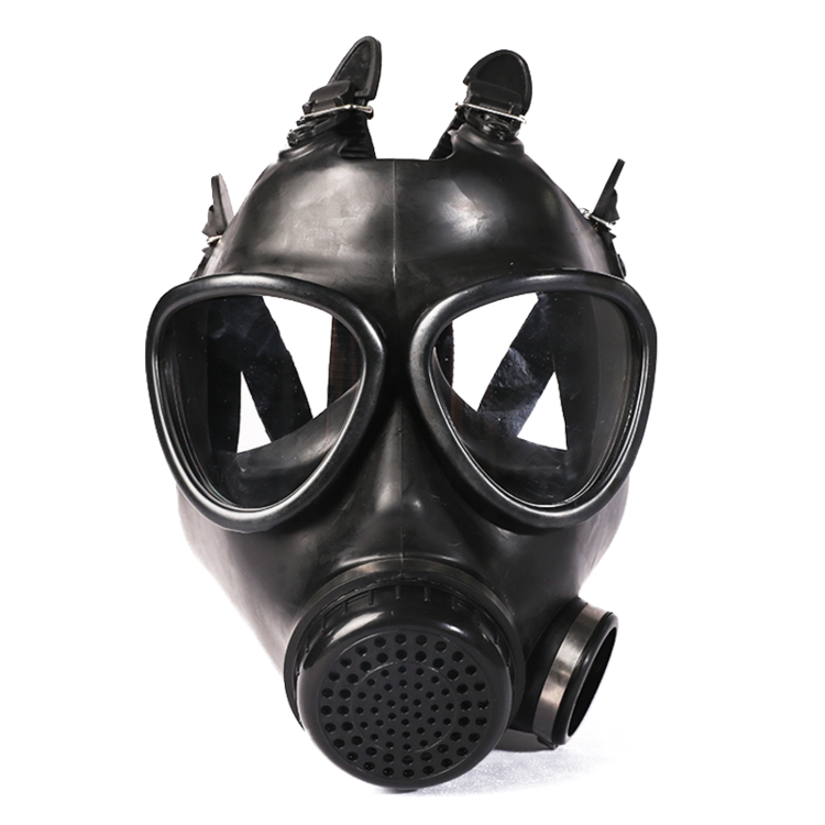 Full Face Respirator Gas Mask With Double Filters