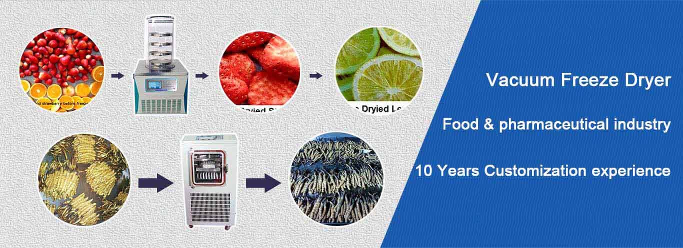 TOPTION vacuum freeze dryer