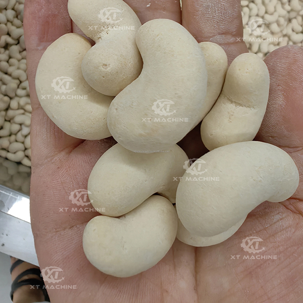 600-800kg/h PLC Control Peanut Coating Machine for Uniform Quality and High Production Efficiency