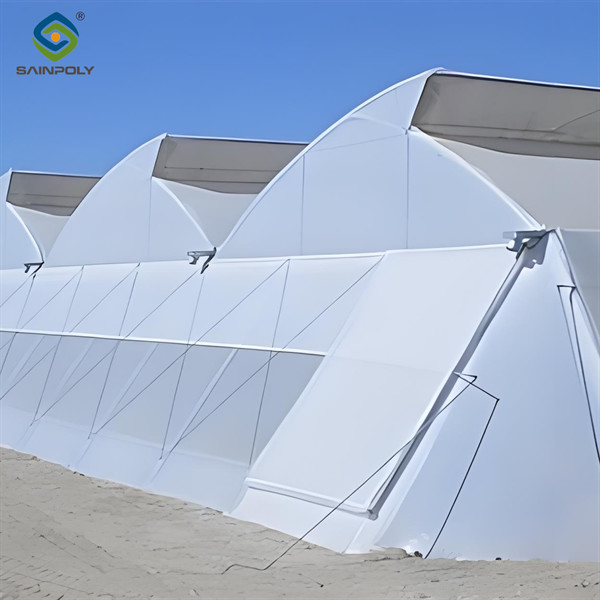 Multispan Greenhouse Complete Hydroponic Nft Greenhouse 6.0~12.0m Span