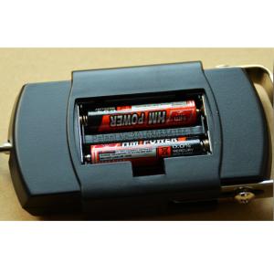 Tare Function LCD Digital Luggage Scale With Over Load Indication