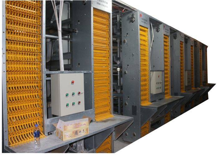 Layer Chicken Egg Farming Equipment Corrosion Resistance Poultry Farm Tools