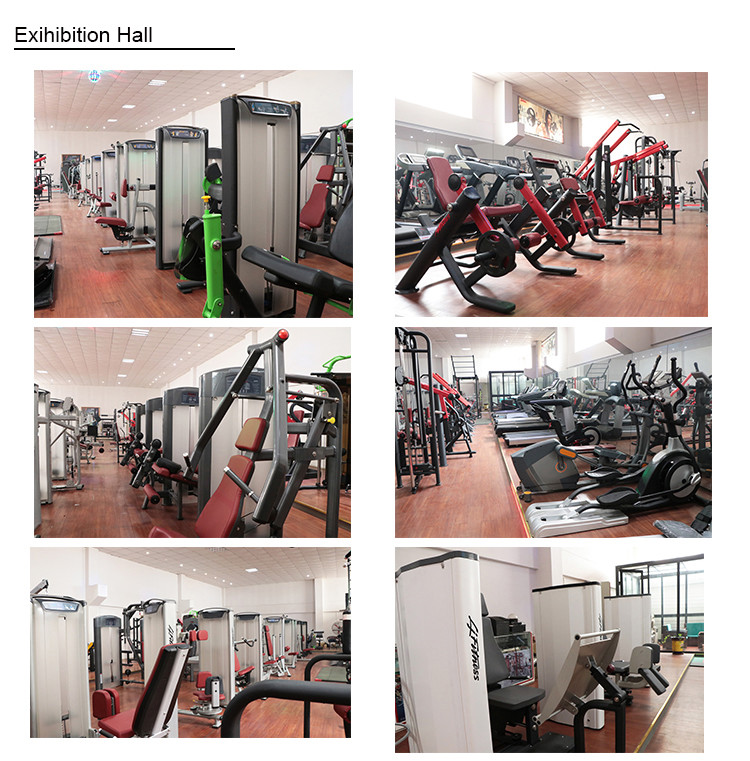 Plate Loaded Gym Fitness Equipment / Hammer Extension Machine For Leg